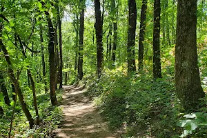 Guild-Hardy Trailhead, Lookout Mountain Trails image