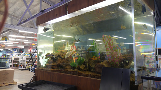 Tropical Fish Store The Ocean Floor Reviews And Photos 2347 W