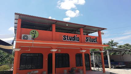 Studio Siluet - Francisco I Madero 114, La Palmilla, 93656 La Palmilla, Ver., Mexico