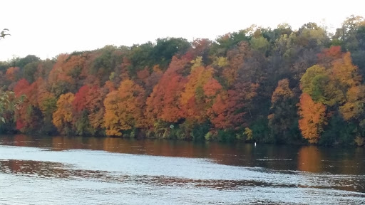 Auto Repair Shop «Southeast Auto Service», reviews and photos, 4 27th Ave SE, Minneapolis, MN 55414, USA