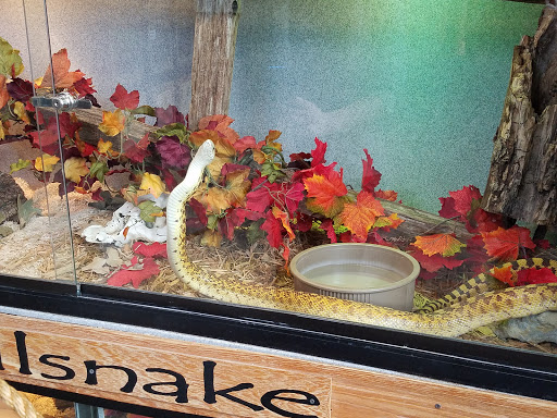 Nature Preserve «Lakeside Nature Center», reviews and photos, 4701 E Gregory Blvd, Kansas City, MO 64132, USA