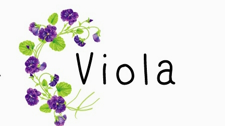 Viola秋葉原