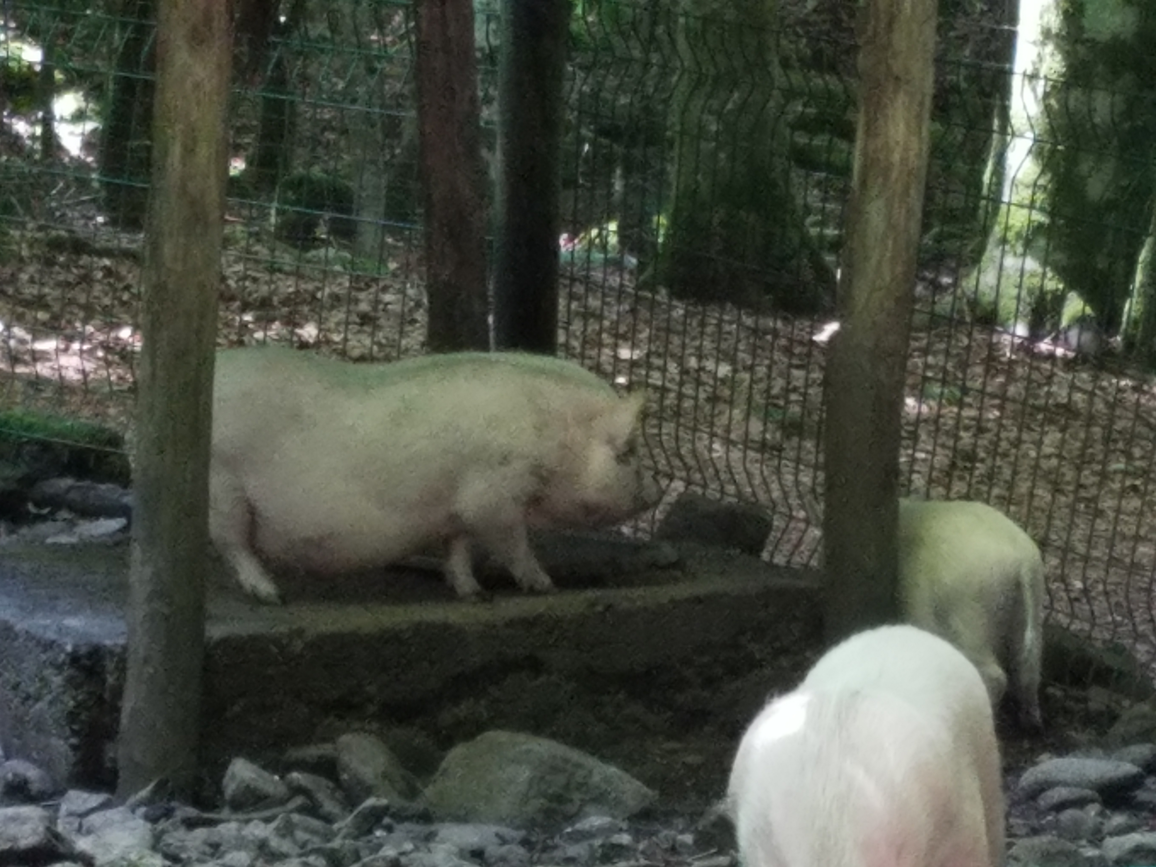 Photo n° 3 de l'avis de Julie.i fait le 03/07/2019 à 14:26