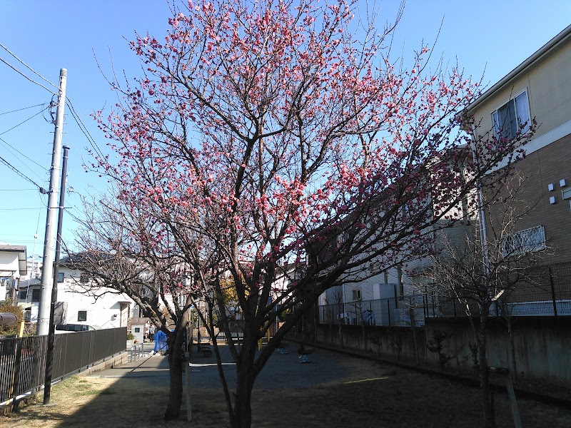 つくし野ウメノキ公園