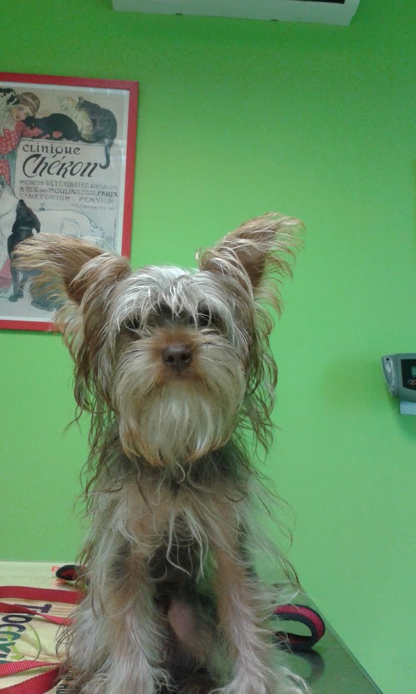 Clínica Veterinaria la Minilla