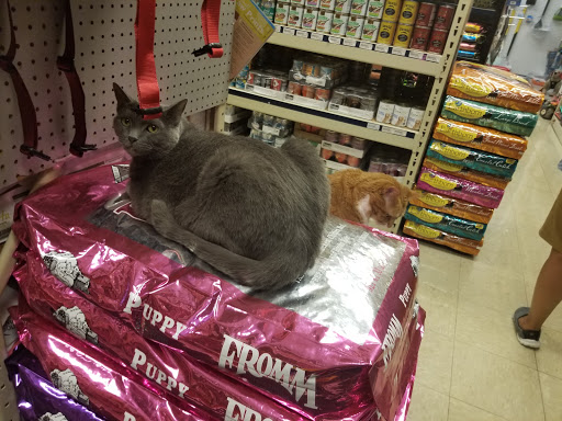 Pet Supply Store «Nashville Pet Products Center», reviews and photos, 4066 Andrew Jackson Pkwy, Hermitage, TN 37076, USA