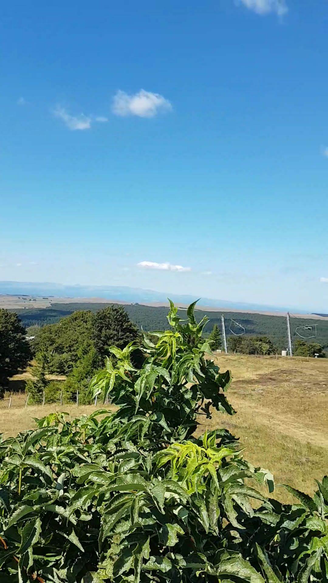 Photo n° 2 de l'avis de René.L fait le 07/09/2018 à 16:46