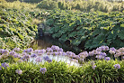 Jardin botanique du château de Vauville La Hague