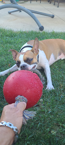 Pet Supply Store «Pet Valu», reviews and photos, 881 W Maple St, Hartville, OH 44632, USA