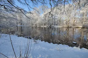 Hohenbuchen Park image