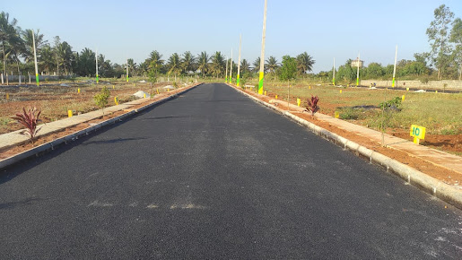 Google Maps image 24