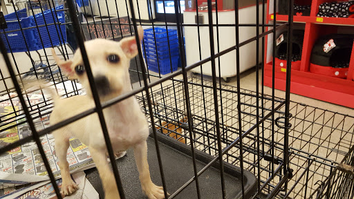 Pet Supply Store «PetSmart», reviews and photos, 470 Shaw Ave, Clovis, CA 93612, USA