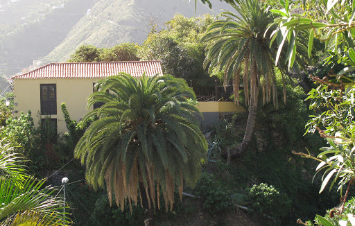 Casa rural Los Aromos en Hermigua