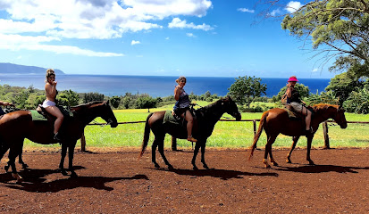 Happy Trails Hawaii Horseback Rides