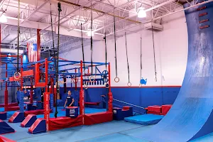 Conquer Ninja Gyms - Woodbury image