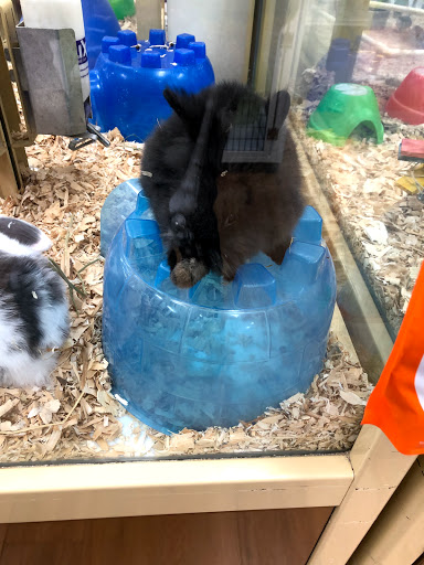 Pet Supply Store «Pet Supermarket», reviews and photos, 1080 Alafaya Trail, Oviedo, FL 32765, USA