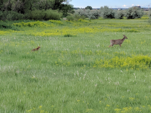 State Park «Cherry Creek State Park», reviews and photos, 4201 S Parker Rd, Aurora, CO 80014, USA