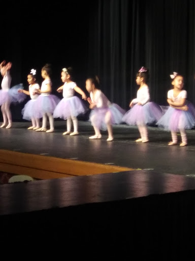 Performing Arts Theater «Cutting Hall Performing Arts Center», reviews and photos, 150 E Wood St, Palatine, IL 60067, USA