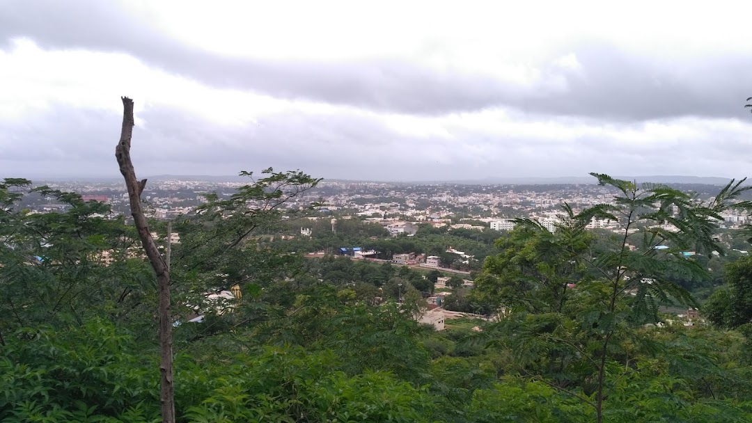 Vidya Nagar