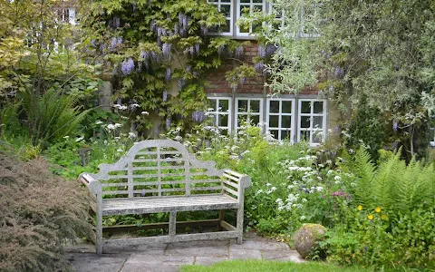 Burrow Farm Gardens image