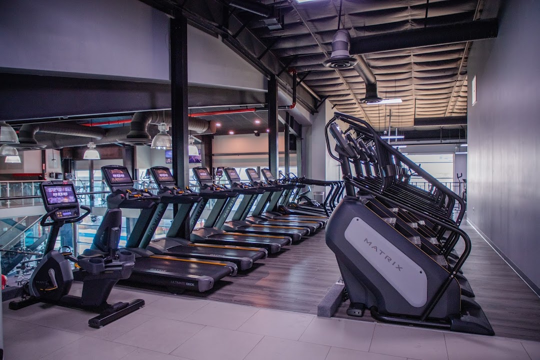 The Gym Legacy