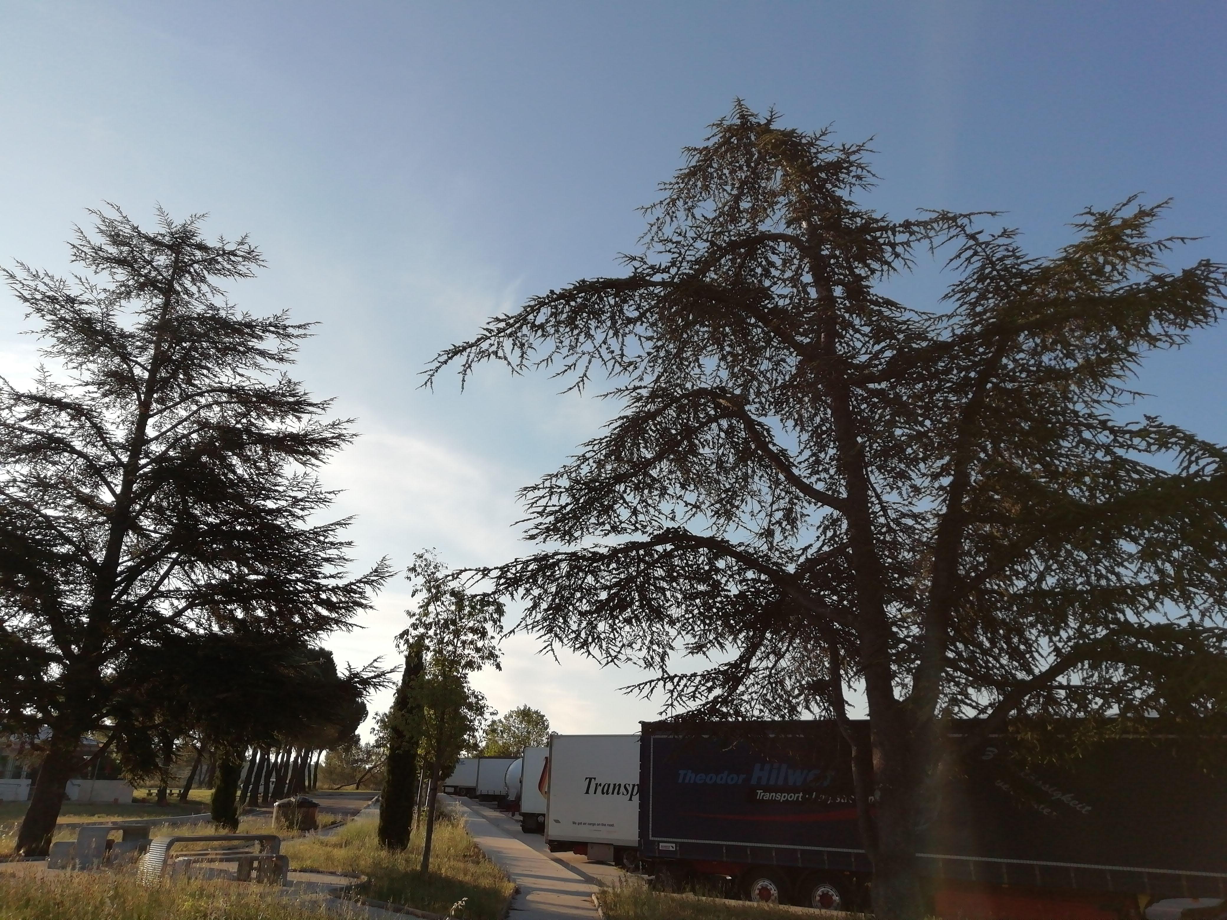 Photo n° 7 de l'avis de Serzh. fait le 04/06/2019 à 13:52