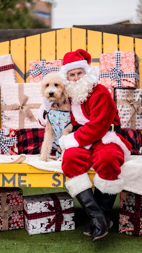 Insurance Agency «Kathleen Alexander - State Farm Insurance Agent», reviews and photos