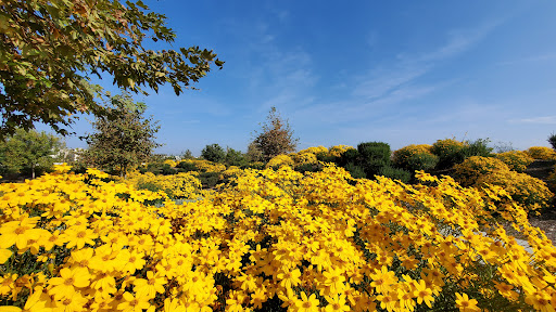 Park «Parasol Park», reviews and photos, 375 Magnet, Irvine, CA 92618, USA