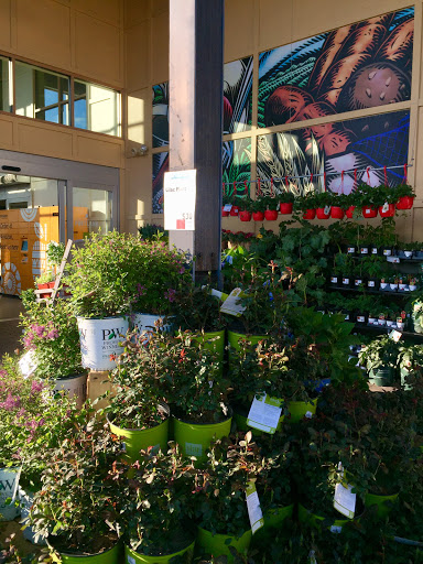 Grocery Store «Whole Foods Market», reviews and photos, 2 Somerset St, Portland, ME 04101, USA