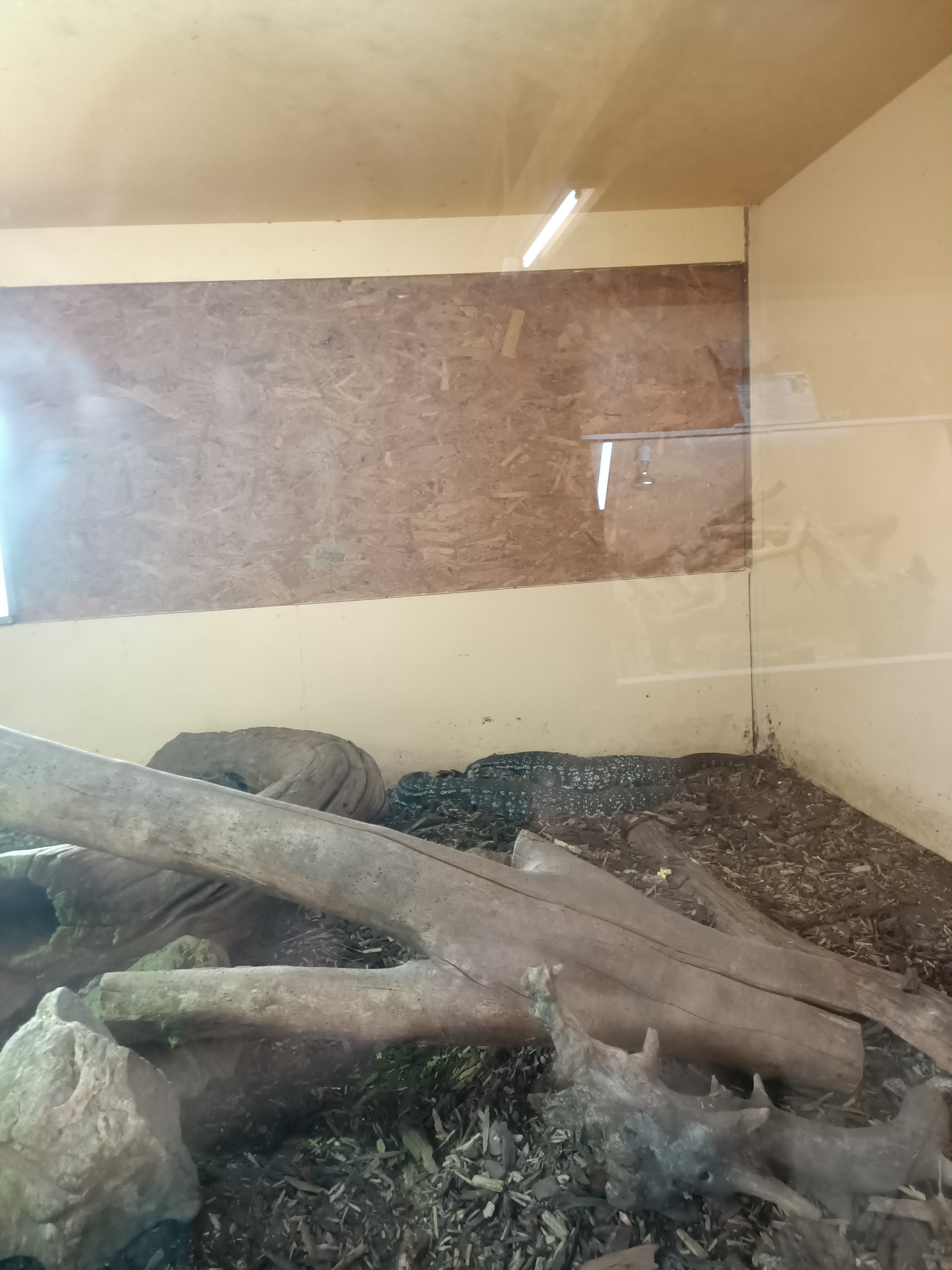 Photo n° 7 de l'avis de Dufau.a fait le 21/02/2024 à 14:51