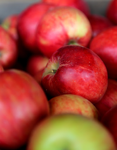 Produce Market «B&P Hitz Fruit Farm (Apples N Produce)», reviews and photos, 14070 Wilco Hwy NE, Woodburn, OR 97071, USA