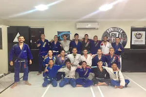 Carlos Holanda Brazilian Jiu-Jitsu image