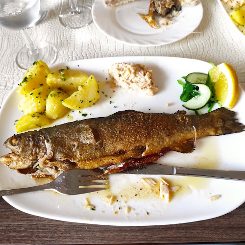 Fischgaststätte "Zur Forelle" - Restaurant