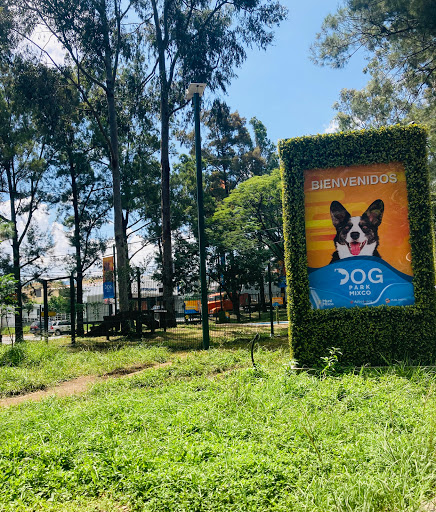 Dog Park San Cristóbal