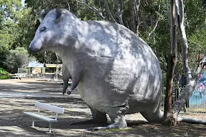 Cohunu Koala Park image