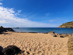 Plage de la Garde'in fotoğrafı vahşi alan