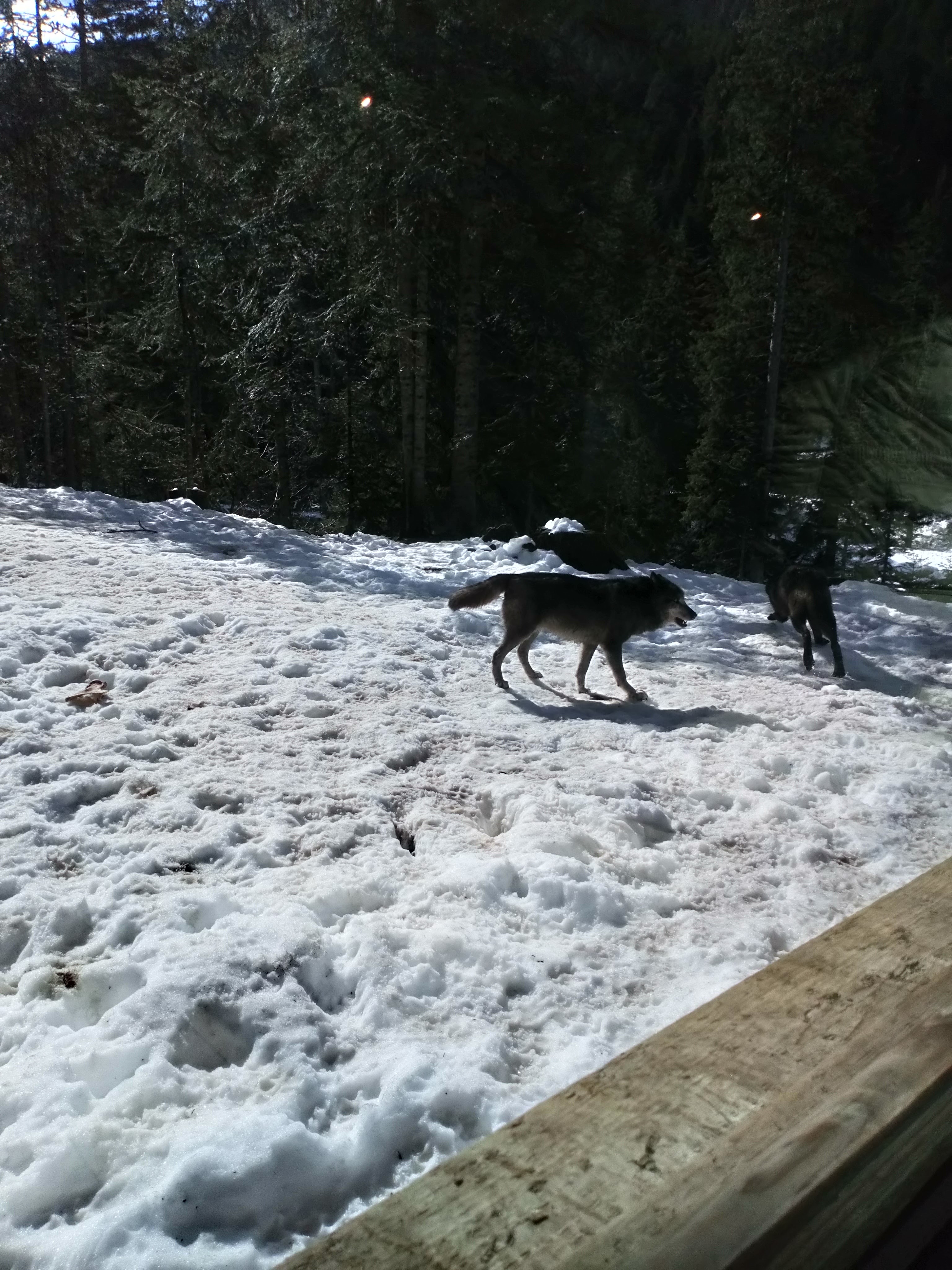 Photo n° 3 de l'avis de virginie.u fait le 15/04/2019 à 06:27