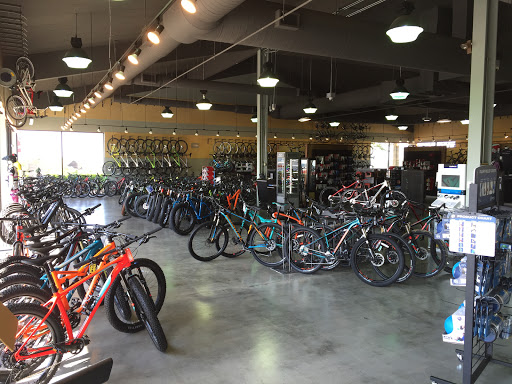 Shoe Store «PRO BIKE+RUN Robinson», reviews and photos, 3100 Robinson Ln, Pittsburgh, PA 15205, USA