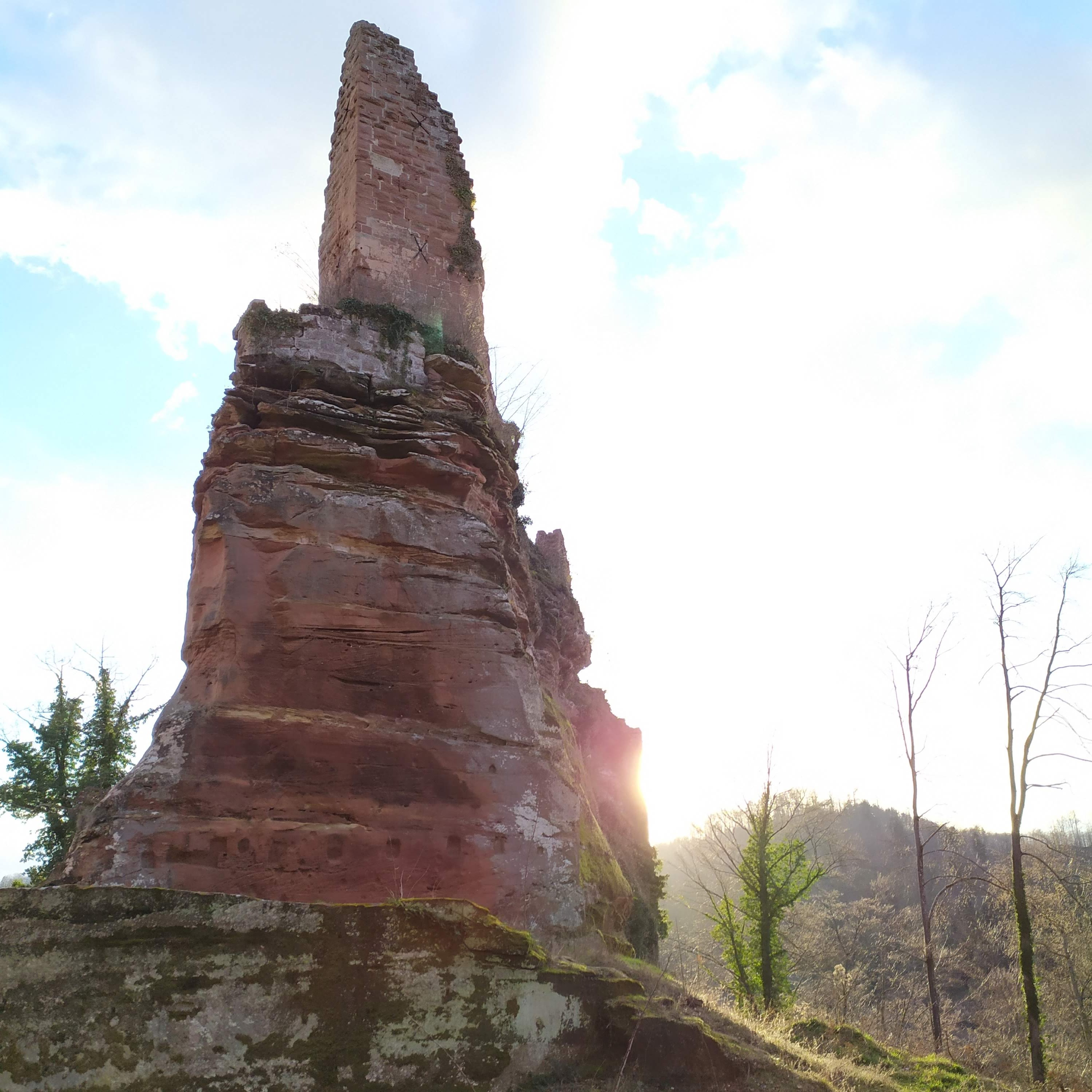 Photo n° 1 de l'avis de Toto.i fait le 21/03/2021 à 20:20