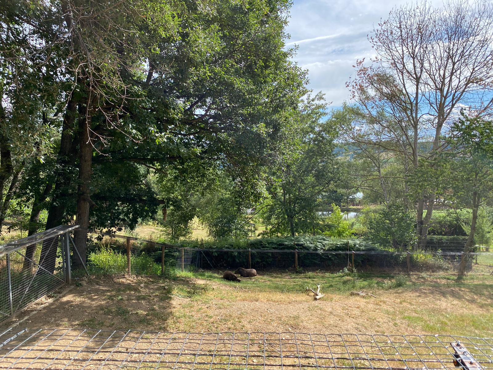 Photo n° 3 de l'avis de Martial.o fait le 17/12/2020 à 07:41
