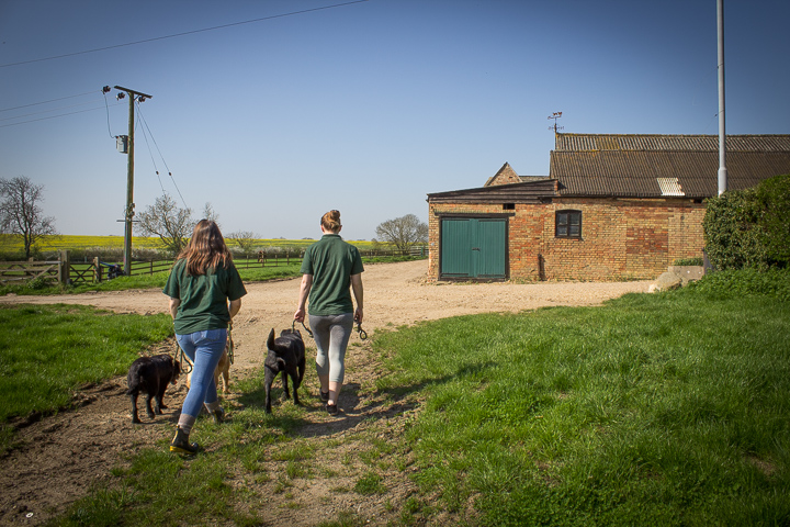 Gidding Grove Boarding Kennels & Cattery