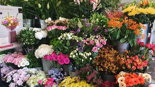 Reviews of Blooms N Blossoms in Coventry - Florist
