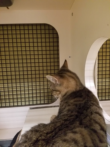 Pet Supply Store «Petco Animal Supplies», reviews and photos, 2227 E Semoran Blvd, Apopka, FL 32703, USA