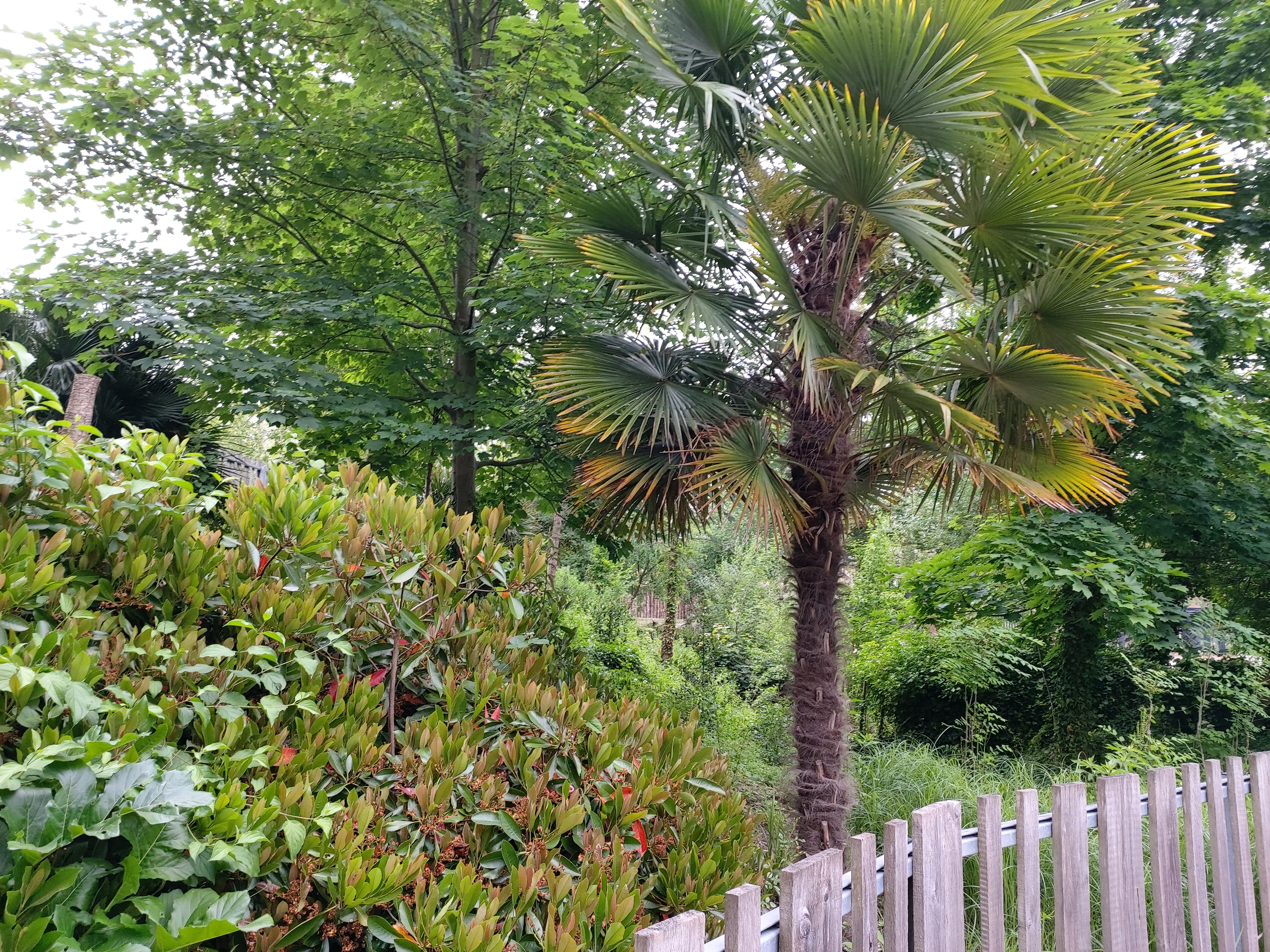 Photo n° 6 de l'avis de DJ.i fait le 12/06/2021 à 15:42