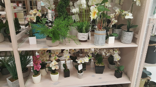 Shopping Mall «Searstown Mall», reviews and photos, 3550 S Washington Ave, Titusville, FL 32780, USA