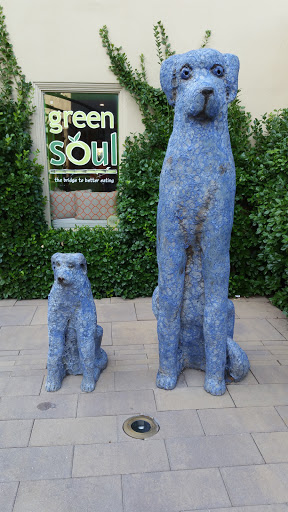 Grocery Store «The Fresh Market», reviews and photos, 8208-18 Germantown Ave, Philadelphia, PA 19118, USA