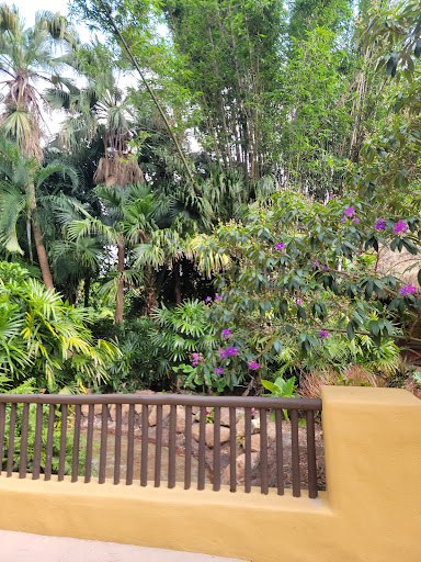 Water Park «Discovery Cove», reviews and photos, 6000 Discovery Cove Way, Orlando, FL 32821, USA