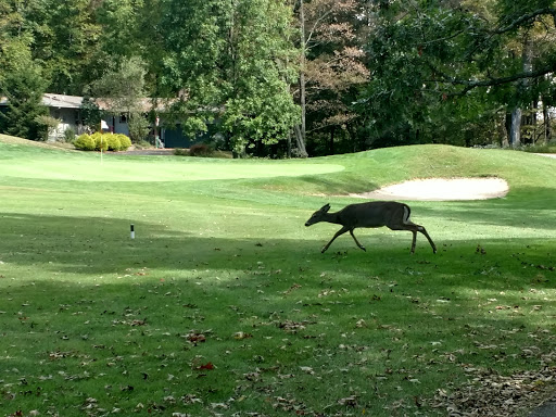 Golf Club «Glen Brook Golf Club», reviews and photos, 1044 Hickory Valley Rd, Stroudsburg, PA 18360, USA