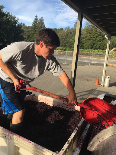 Winery «Stephen & Walker Winery», reviews and photos, 243 Healdsburg Ave, Healdsburg, CA 95448, USA