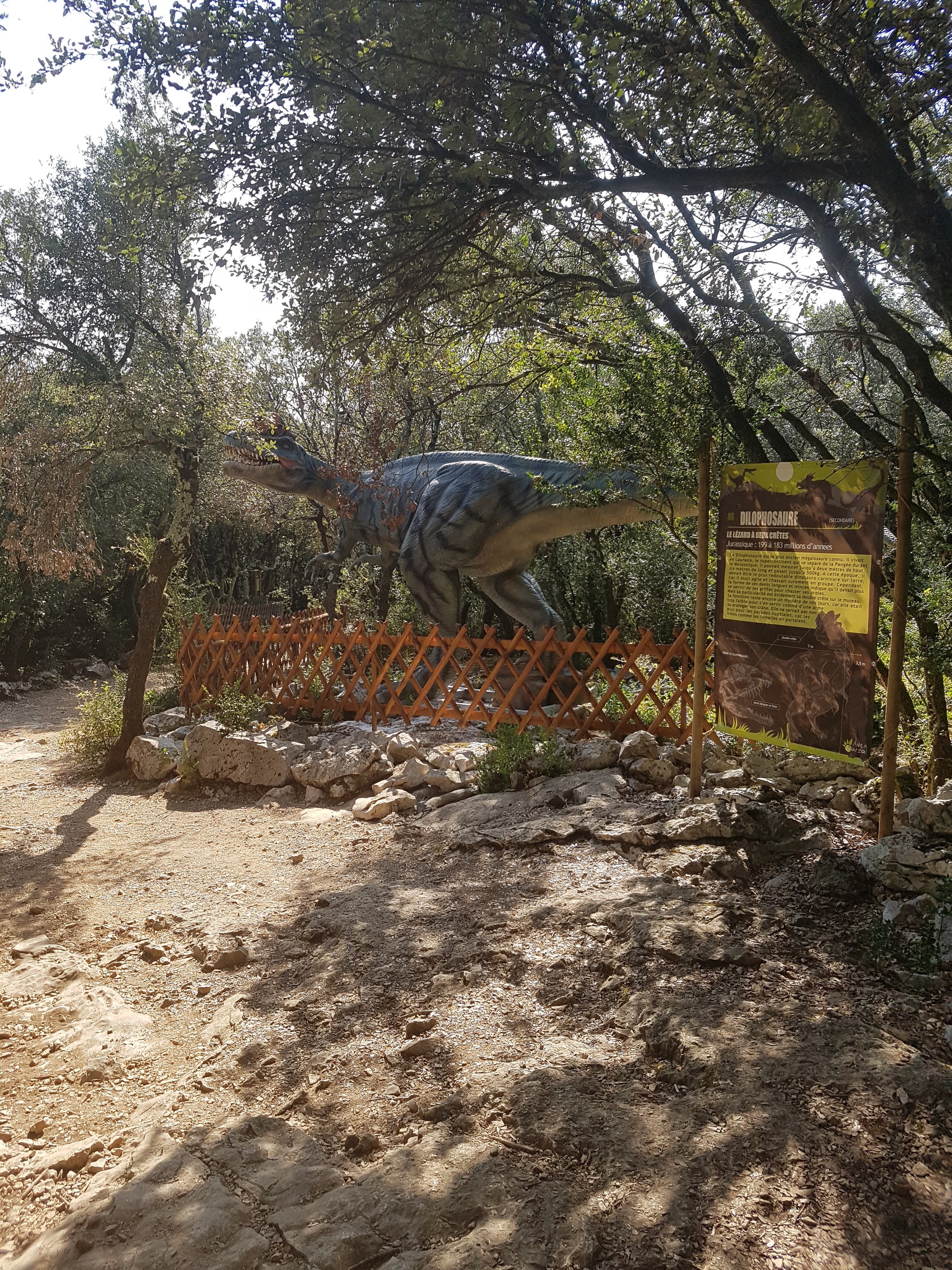 Photo n° 42 de l'avis de Mick.u fait le 05/09/2018 à 21:01